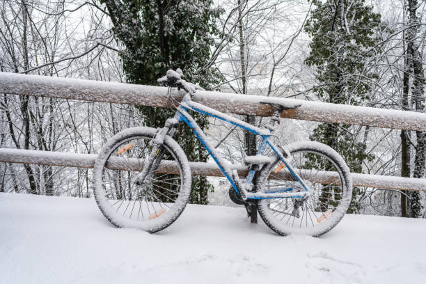 A snowed-in bicycle during a snowstorm