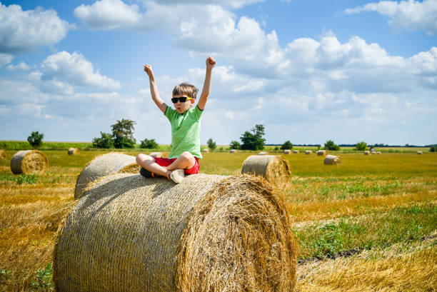 istock Little boy sits on a round haystack relaxed with hands up. Field 1386037399