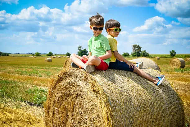 Photo of Two little boy stand among round haystack. Field with round bales after harvest under blue sky. Big round bales of straw, sheaves, haystacks