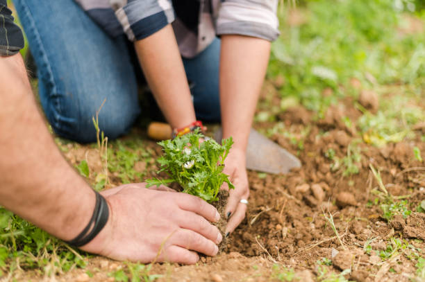 istock Crop gardener with gardening tools 1386038328