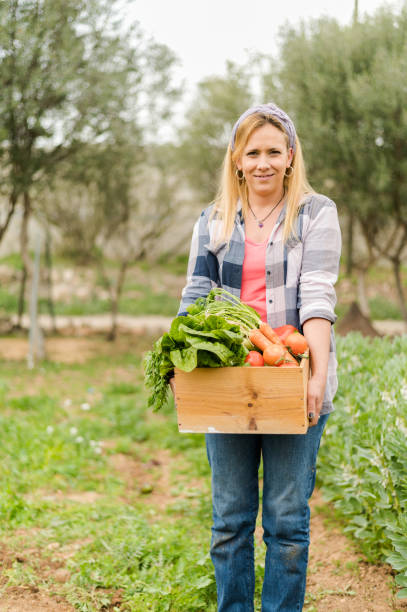 istock Cheerful organic farmer holding box with freshly picked vegetables in a field 1386038426