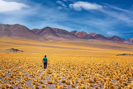 Road of the six thousand, Catamarca, Argentina. Man walking backwards towards the mountains. Man surrounded by incredible landscape. Border between Argentina and Chile