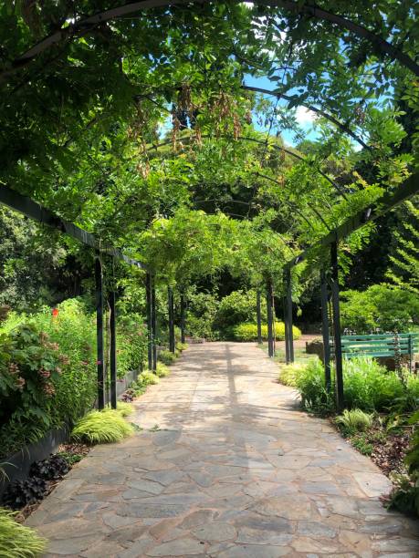 istock Wisteria covered archway 1386043195
