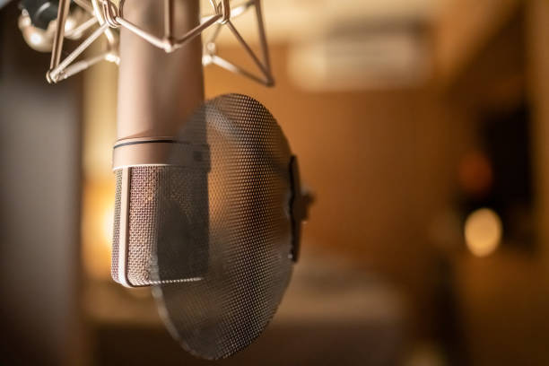 вокальный конденсаторный студийный микрофон - voice over стоковые фото и изображения