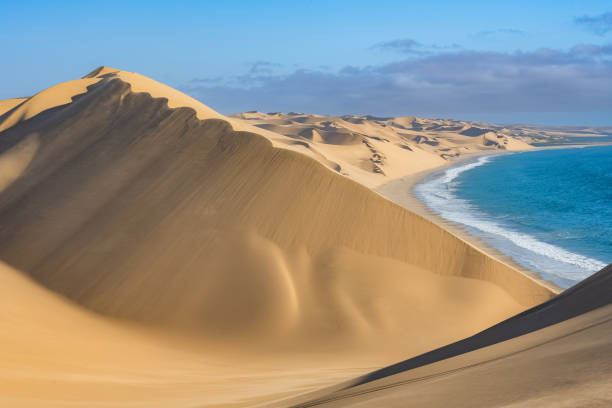 istock Namibia, the Namib desert, dunes 1386050704