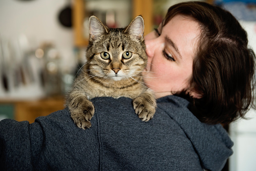 Young woman enjoying simple pleasures at home, cuddling cat. She is in her late twenties, wearing casual clothes. Apartment is very lived in and cosy. Horizontal waist up indoors shot.