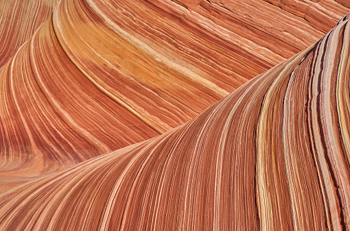 The famous Wave of Coyote Buttes North in the Paria Canyon-Vermilion Cliffs Wilderness of the Colorado Plateau in southern Utah and northern Arizona USA.