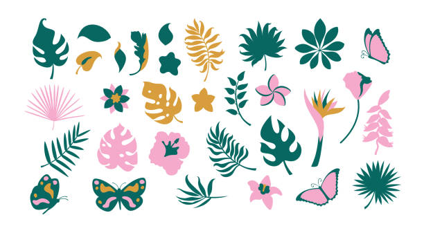 ilustraciones, imágenes clip art, dibujos animados e iconos de stock de conjunto de hojas tropicales de arte plano, flor y mariposas. - tropical flowers