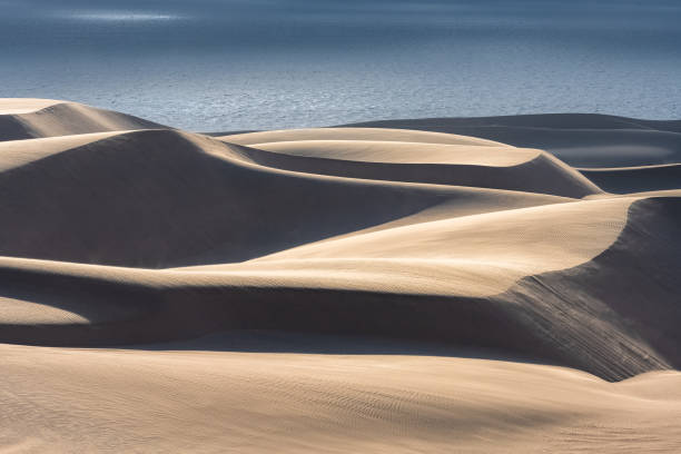 istock Namibia, the Namib desert 1386053078