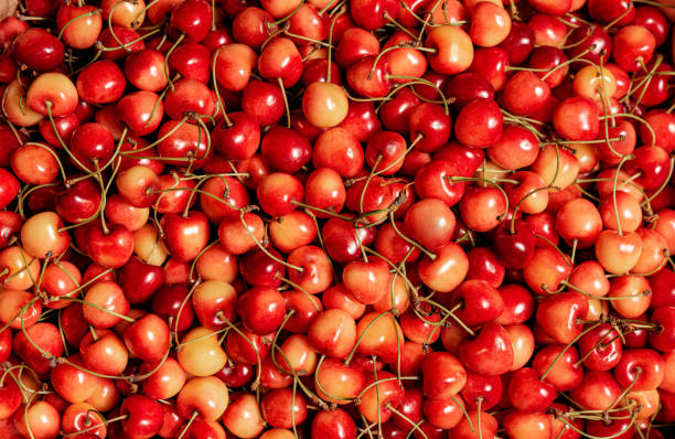istock Sweet yellow cherries background. Top view. 1386054243