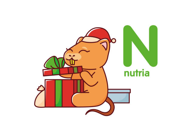 Nutria opens the gift. Cute animal. Vector illustration alphabet Nutria opens the gift. Cute animal. Vector illustration alphabet. nutria rodent animal alphabet stock illustrations