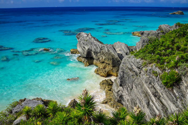 Beach in Bermuda Overlook of colorful beach bermuda stock pictures, royalty-free photos & images