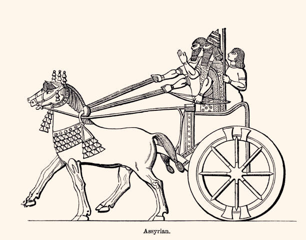 assyrian chariot (xxxl mit vielen details) - chariot stock-grafiken, -clipart, -cartoons und -symbole