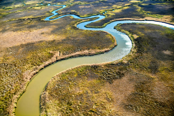istock Florida Wilderness Aerial Abstract 1386066952