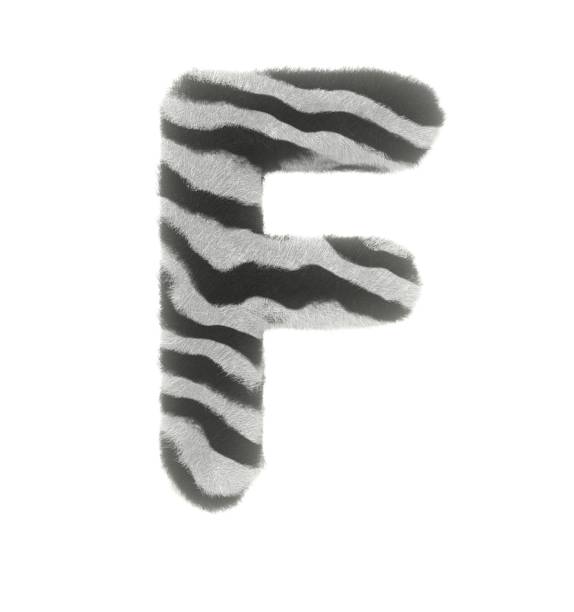 istock Furry Zebra Themed Font Letter F 1386085714