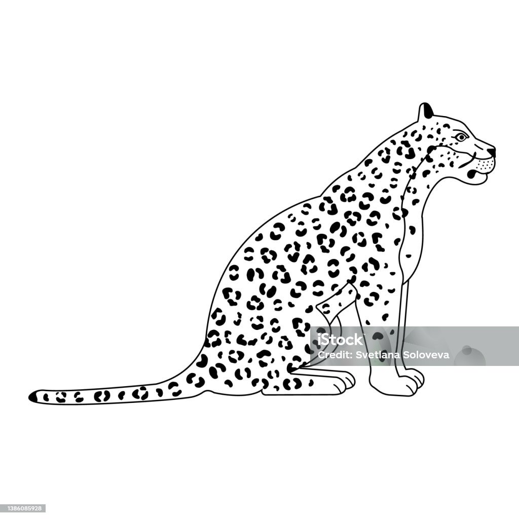 Sitting Leopard Vector Vector Flat Sitting Leopard Stock Illustration - Download Image Now ...