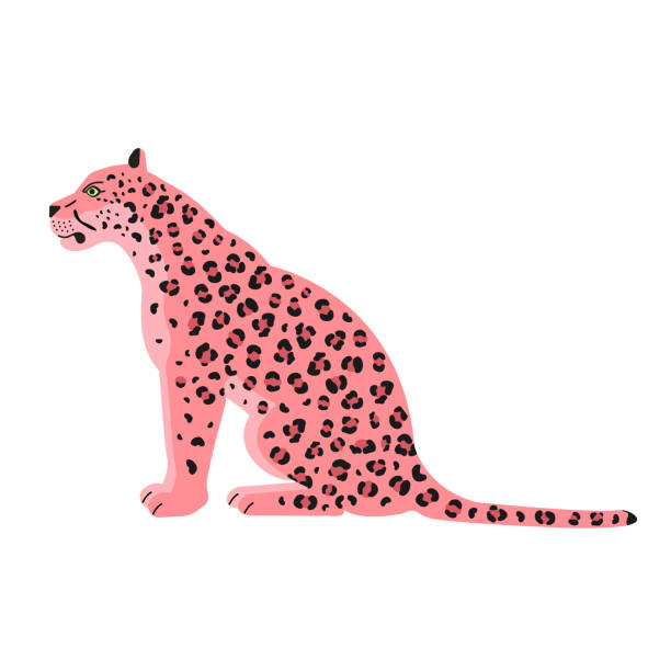 2,900+ The Pink Panther Stock Illustrations, Royalty-Free Vector ...