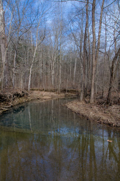 istock Ferne Clyffe State Park - Hawk's Cave Trail - Reflections from the Waterfall 1386091388