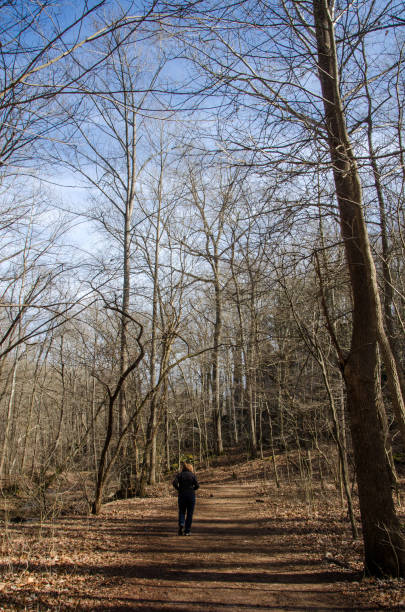 istock Ferne Clyffe State Park - Hiker on Big Rocky Hollow Trail 1386091393