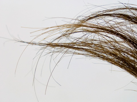 Macroscopic photography of chestnut hair strands