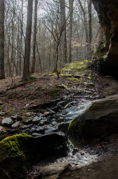 istock Ferne Clyffe State Park - Hawk's Cave Trail - Behind the Waterfall 1386091449