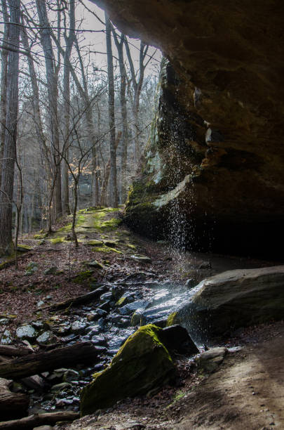Ferne Clyffe State Park - Hawk's Cave Trail - Waterfall at Cave's Entrance