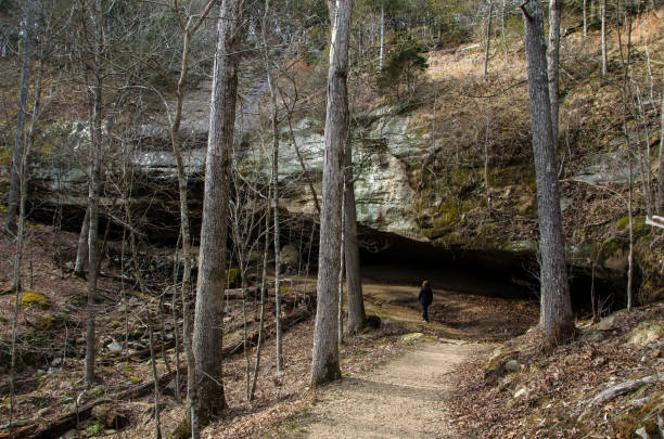 istock Ferne Clyffe State Park - Hawk's Cave Trail - Arriving at the Cave 1386091509