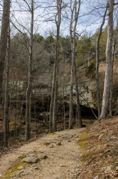 istock Ferne Clyffe State Park - Hawk's Cave Trail - Approaching the Cave 1386092167