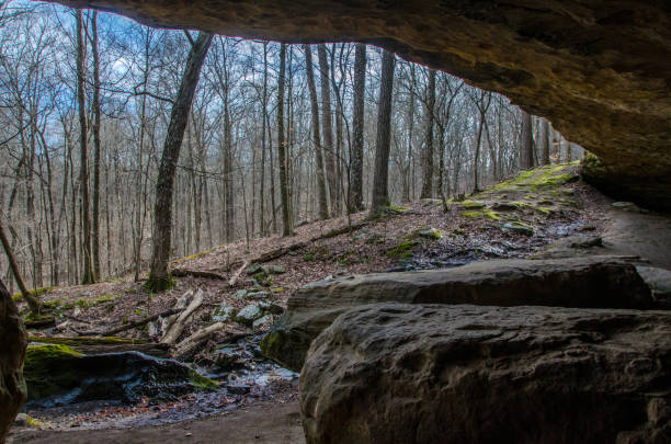 Ferne Clyffe State Park - Hawk's Cave Trail - View from Inside the Cave