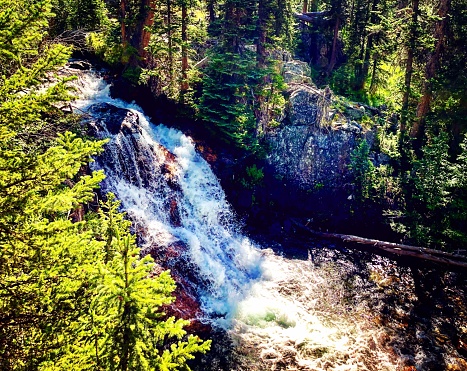 A waterfall of national park of aiguestortes. In valley of Boí. In the alta ribagorça pyrennes of lleida in catalonia region.