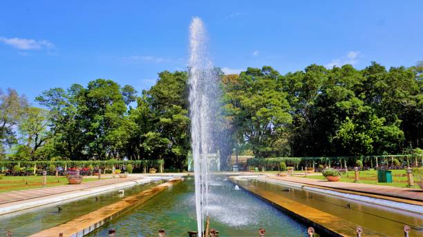 mysore, karnataka, inde-12 février 2022: belle vue sur le paysage des jardins de brindavan. lieu de pique-parfait ou passerelle de week-end pour les habitants de bangalore, mysore - wodeyar photos et images de collection