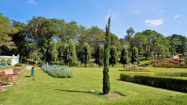 mysore,karnataka, índia-12 de fevereiro de 2022: bela vista paisagística dos jardins brindavan. local perfeito para piquenique ou porta de entrada de fim de semana para pessoas de bangalore, mysore - wodeyar - fotografias e filmes do acervo