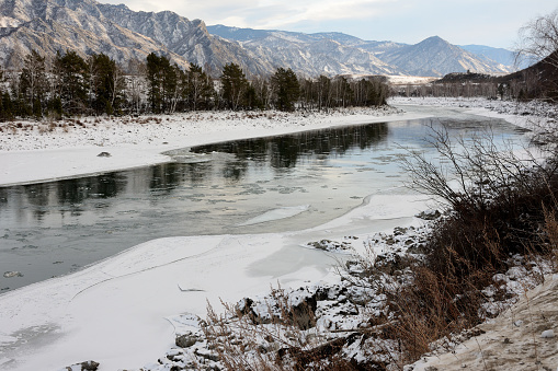 A clearing on the icy bed of a beautiful river flowing through a snow-covered valley surrounded by high mountains. Katun river, Altai, Siberia, Russia.