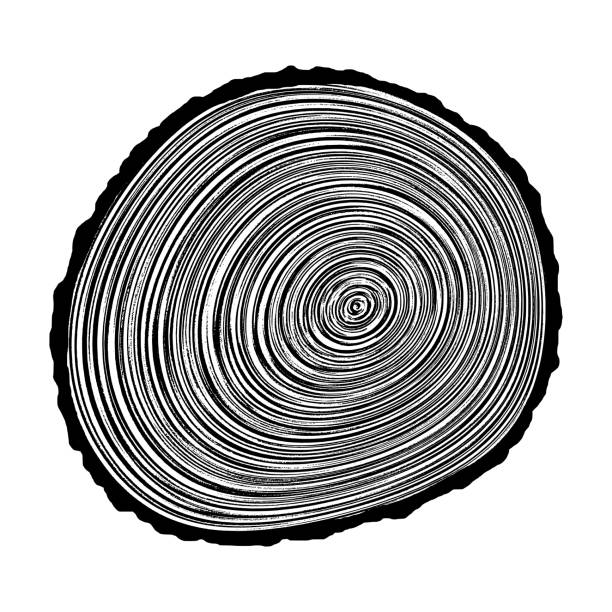 Tree Rings Graphic Key 520+ Tree Ring Graphic Stock Illustrations, Royalty-Free Vector ...