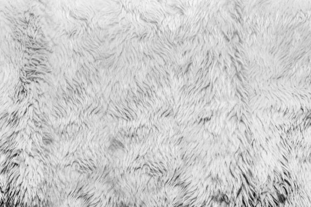 istock Light colored animal fur texture backdrop photo. 1386098563