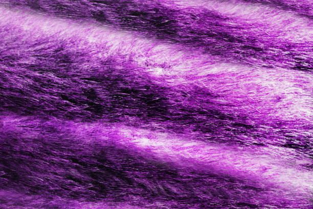 istock Purple colored animal fur texture backdrop photo. 1386098608