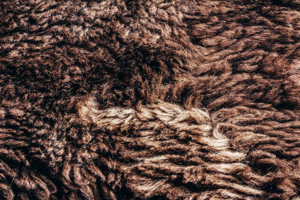 istock Brown colored animal fur texture backdrop photo. 1386098622