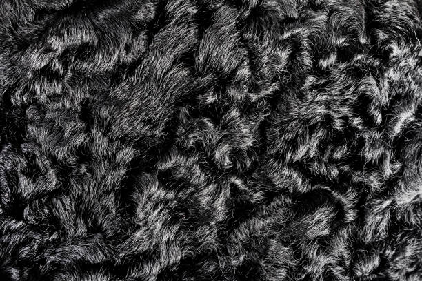istock Black colored astrakhan fur texture backdrop photo. 1386098653