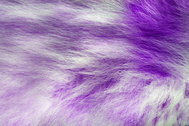 istock Light colored purple animal fur texture backdrop photo. 1386098663
