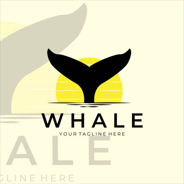 whale tail vintage  vector illustration design whale tail vintage  vector illustration design whales stock illustrations