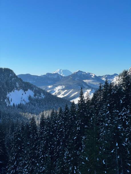 istock Cascades in Winter 1386103586