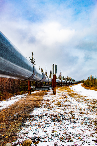 The Trans-Alaskan Pipeline makes its way down the many miles of Alaska. Oil travels from the North Slope of Alaska, down to the Port of Valdez. The pipeline has 11 pump stations, 800 miles of pipeline, and a diameter of approximately 48 inches. The pipeline is cared for by the Alyeska Pipeline Service Company. Much has been done to ensure the surrounding area is not affected. The end result is a stunning view of Alaska.