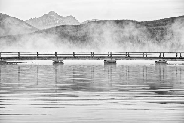 Romantic morning mood at a lake with a jetty reaching into the water on which wagtails sit in black and white. Nature in Sweden, Scandinavia