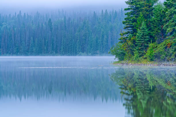 istock Jasper National Park in Alberta Canada 1386110134