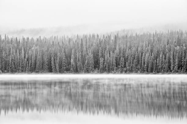 istock Jasper National Park in Alberta Canada 1386110135