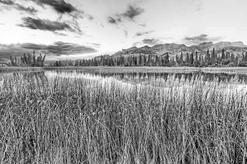 Talbot Lake in Jasper National Park, Canada