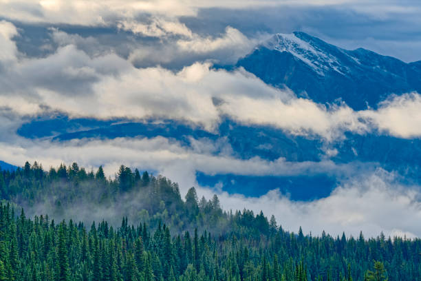 Rocky Mountain views in Jasper National Park