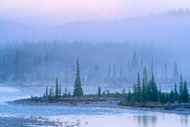 istock Jasper National Park in Alberta Canada 1386111505