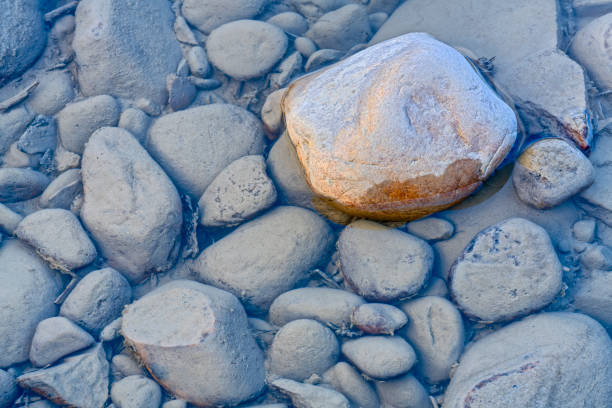 Rocks along the shore of the Athabasca River in Jasper National Park