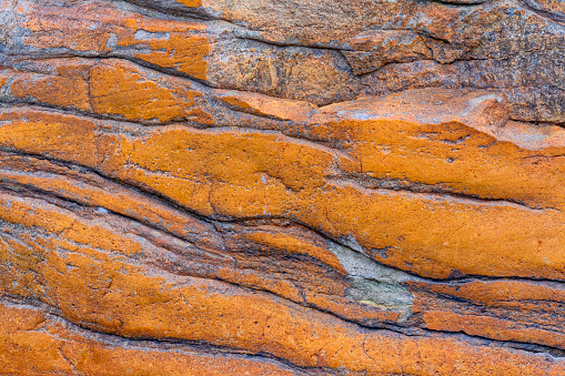 Eroded rocks along the shore of the Athabasca River in Jasper National Park
